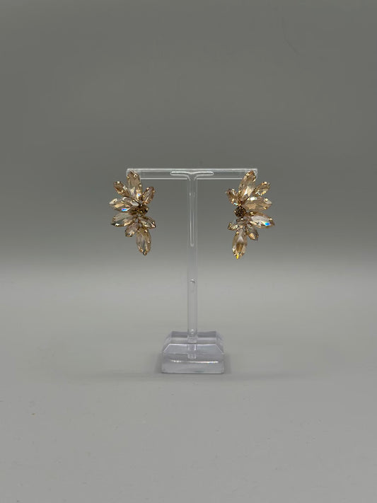 Crystal Garden Earrings