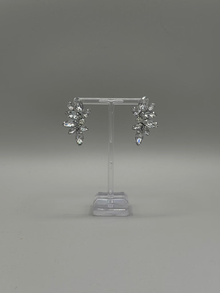 Crystal Garden Earrings